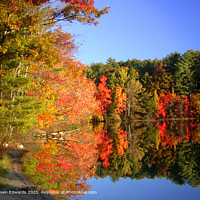 Autumn Reflections