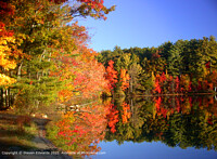 Click to show how this picture will look as a piece of wall art
