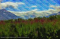 Click to show how this picture will look as a piece of wall art