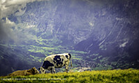 Click to show how this picture will look as a piece of wall art