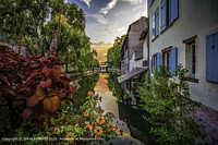 Click to show how this picture will look as a piece of wall art