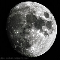 The Moon