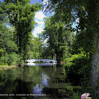 Tranquil Reflections in South Carolina