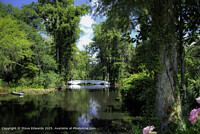 Click to show how this picture will look as a piece of wall art