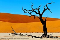 Click to show how this picture will look as a piece of wall art