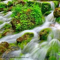 Cascading Mountain Stream. Mossy Green Stones