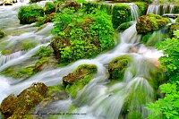 Click to show how this picture will look as a piece of wall art