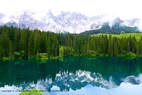 Click to show how this picture will look as a piece of wall art