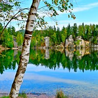 Adrspach Yellow Rocks Reflection