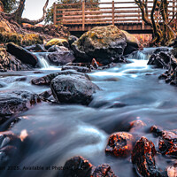 Stanley Ghyll Waterfall Landscape