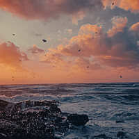 Harrington Shores candyfloss sunset