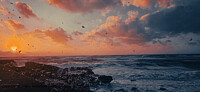Click to show how this picture will look as a piece of wall art