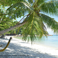 Romantic Seascape with sandy beach and hammock.