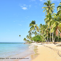 Sunlit Paradise Beach