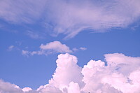 Click to show how this picture will look as a piece of wall art