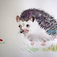 Cute Hedgehog met Ladybird in the Forest
