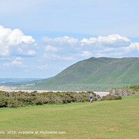 Gower Landscape