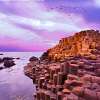 Giant's Causeway, Northern Ireland
