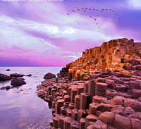 Click to show how this picture will look as a piece of wall art