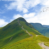 The Lake District
