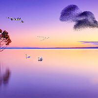 Sunset Lake