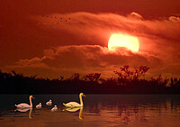 Click to show how this picture will look as a piece of wall art