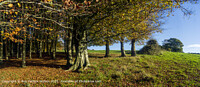Click to show how this picture will look as a piece of wall art