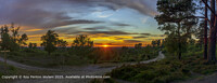Click to show how this picture will look as a piece of wall art