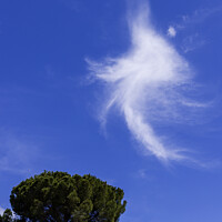 Italian Blue Sky Nature
