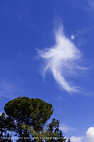 Click to show how this picture will look as a piece of wall art