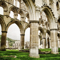Buy canvas prints of Cloisters of Rievaulx Abbey by Sarah Couzens