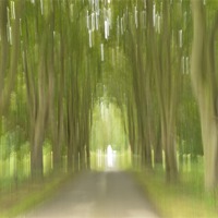 Buy canvas prints of Abstract Trees by Sarah Couzens