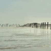 Buy canvas prints of  Spurn Point Groynes by Sarah Couzens
