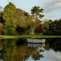 Buy canvas prints of December in Burnby Hall Gardens by Sarah Couzens