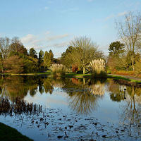 Buy canvas prints of Burnby Hall Gardens by Sarah Couzens