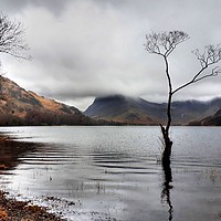 Buy canvas prints of Buttermere in Winter  by Sarah Couzens