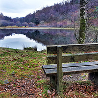 Buy canvas prints of Relax at Yew Tree Tarn  by Sarah Couzens