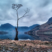 Buy canvas prints of Buttermere in Winter by Sarah Couzens