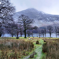 Buy canvas prints of Frosty Buttermere by Sarah Couzens