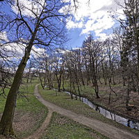 Buy canvas prints of The path by the river in the park Sub Arini Sibiu  by Adrian Bud