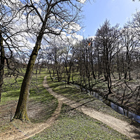 Buy canvas prints of Alley of the river in the park Sub Arini Sibiu Rom by Adrian Bud