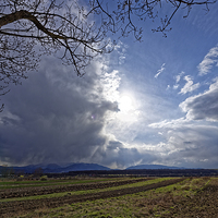 Buy canvas prints of Spring plowing with angry clouds in the sky by Adrian Bud