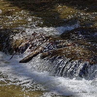 Buy canvas prints of whirling water near Rasinari by Adrian Bud