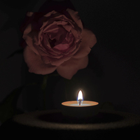 Buy canvas prints of Rose Candle by Adrian Bud