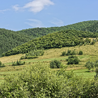 Buy canvas prints of Gardening field near Orlat Sibiu county Romania by Adrian Bud