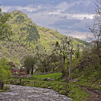 Buy canvas prints of Small creek in Rau Sadului Sibiu County Romania by Adrian Bud