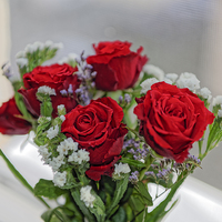 Buy canvas prints of Bouquet of red roses with white carnations by Adrian Bud