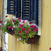 Buy canvas prints of Old Town Sibiu Romania with flowers at windows by Adrian Bud