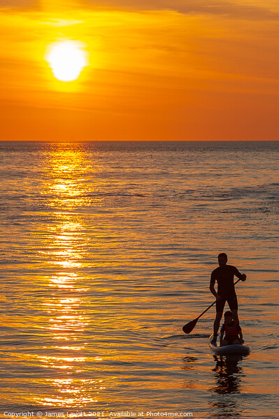Paddle Board And Passenger At Sunset Picture Board by James Lavott