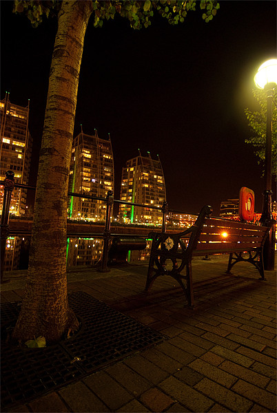 Tree At Salford Quays By Night Picture Board by James Lavott